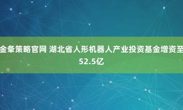 金夆策略官网 湖北省人形机器人产业投资基金增资至52.5亿