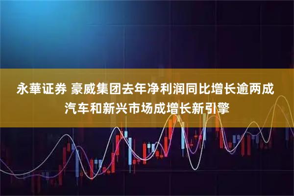 永華证券 豪威集团去年净利润同比增长逾两成 汽车和新兴市场成增长新引擎